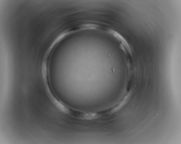 X0000114140859200910081303