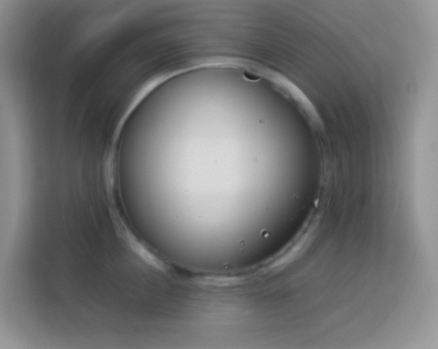 X0000114140860200910081303