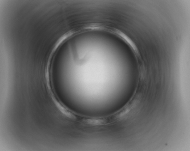 X0000114140861200910081303