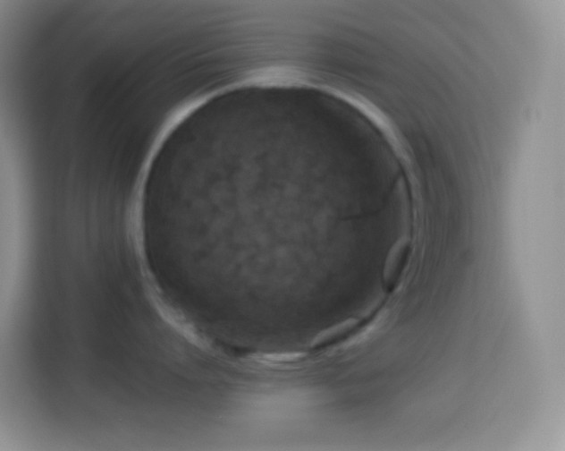 X0000114140864200910081303