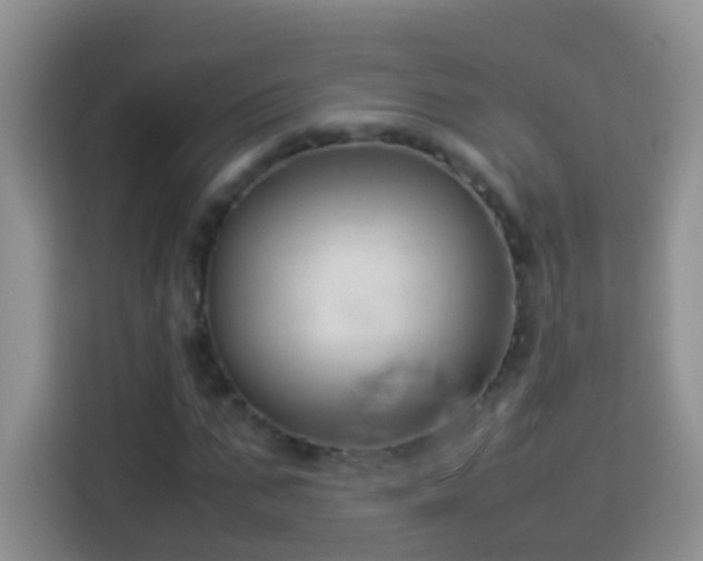 X0000114140871200910081303