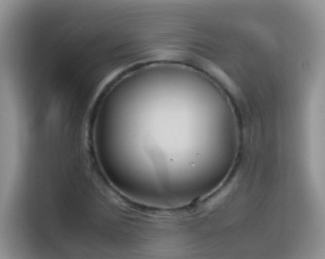 X0000114140875200910081303