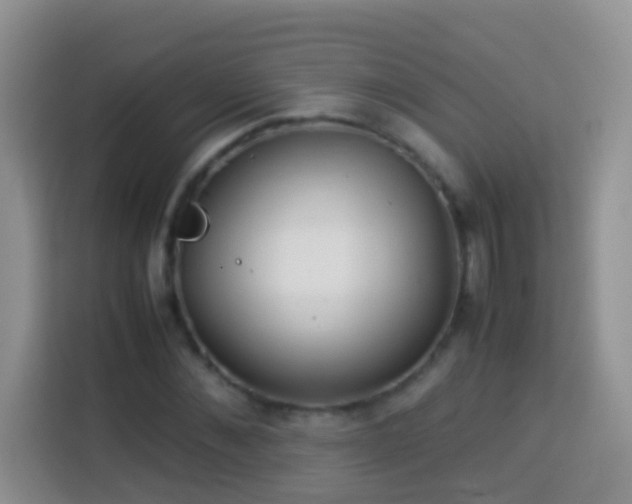 X0000114140876200910081303