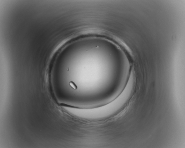 X0000114140877200910081303