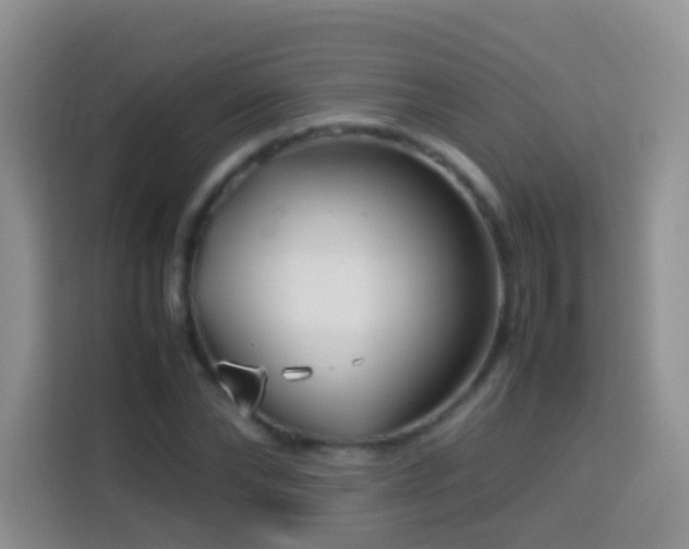 X0000114140878200910081303