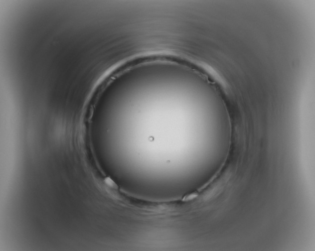 X0000114140879200910081303