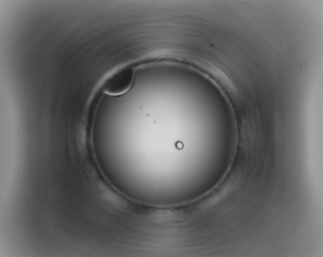 X0000114140880200910081303