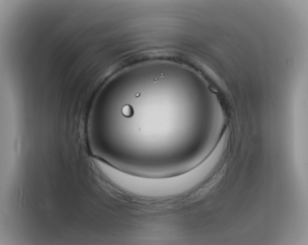 X0000114140881200910081303