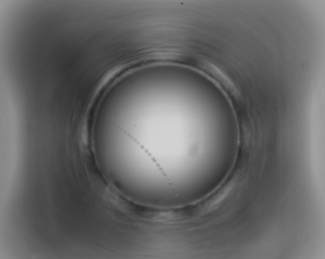 X0000114140883200910081303