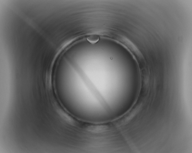 X0000114140884200910081303