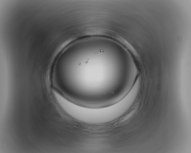 X0000114140885200910081303