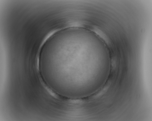 X0000114140886200910081303