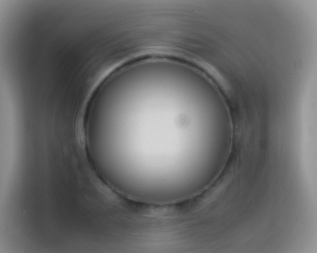 X0000114140887200910081303