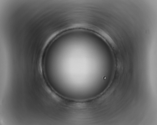 X0000114140888200910081302