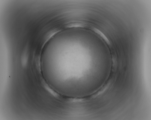 X0000114140890200910081302