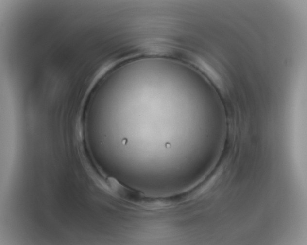 X0000114140891200910081302