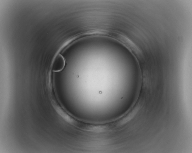 X0000114140892200910081302