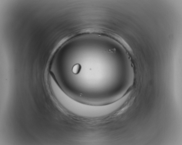 X0000114140893200910081302