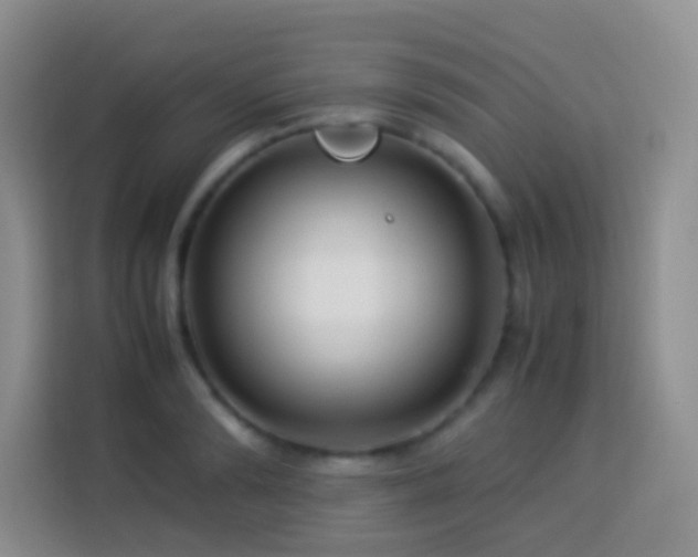 X0000114140894200910081302