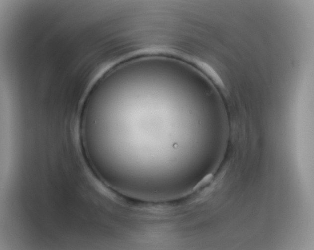 X0000114140895200910081302