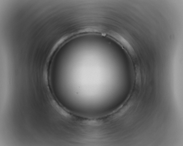 X0000114140896200910081302