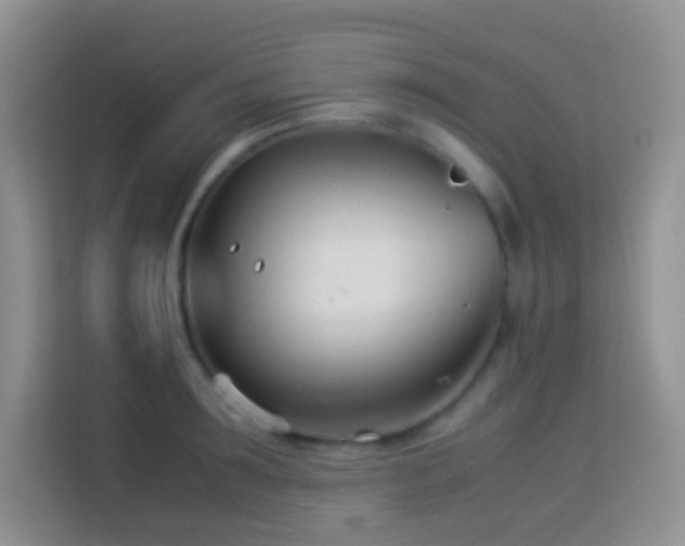 X0000114140899200910081302