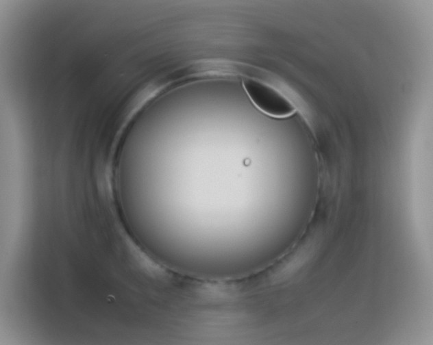 X0000114140901200910081302