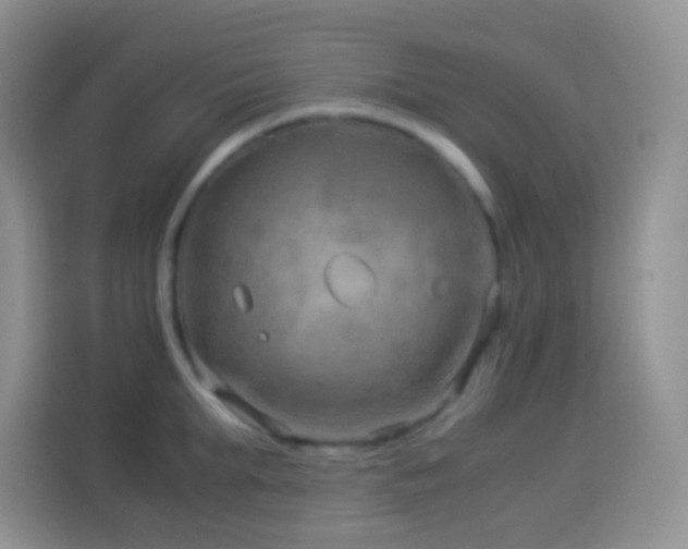 X0000114140903200910081302