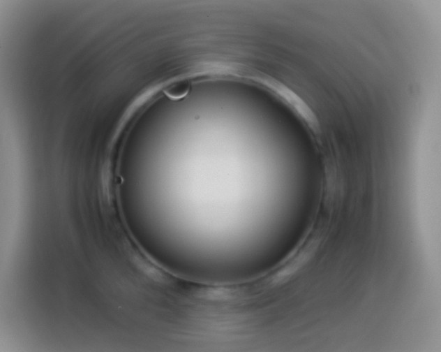 X0000114140904200910081302