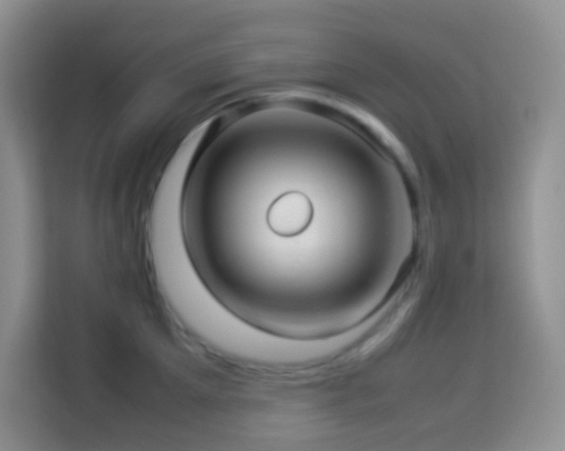 X0000114140905200910081302