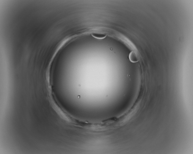 X0000114140907200910081302