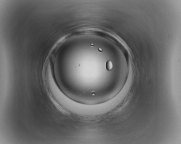 X0000114140909200910081302