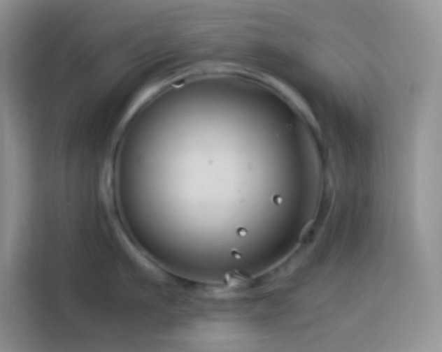 X0000114140911200910081302