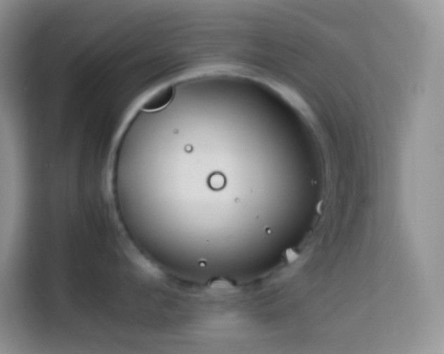 X0000114140912200910081302