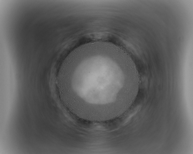 X0000114140913200910081302