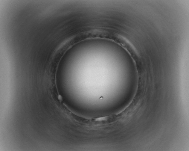 X0000114140919200910081302