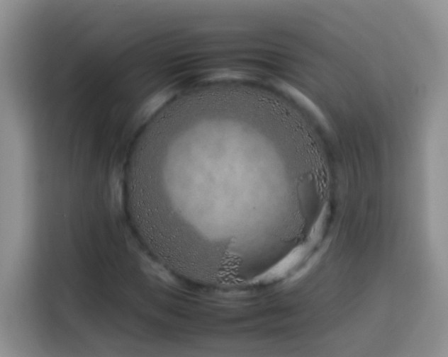 X0000114140921200910081302