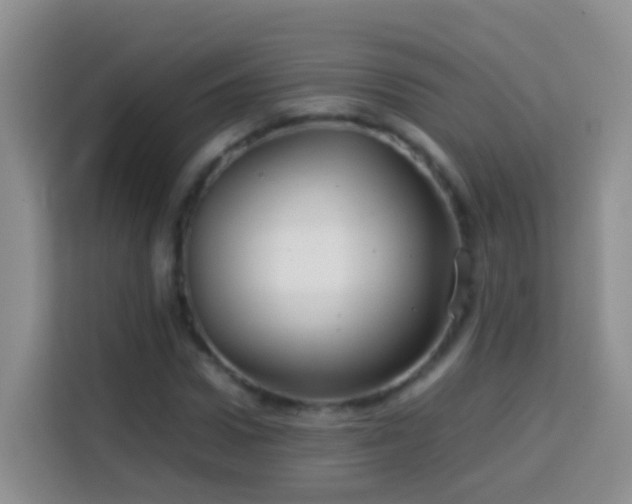 X0000114140922200910081302