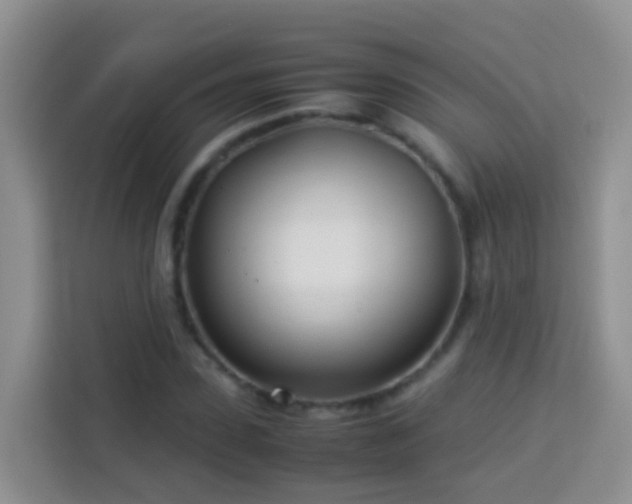 X0000114140923200910081302