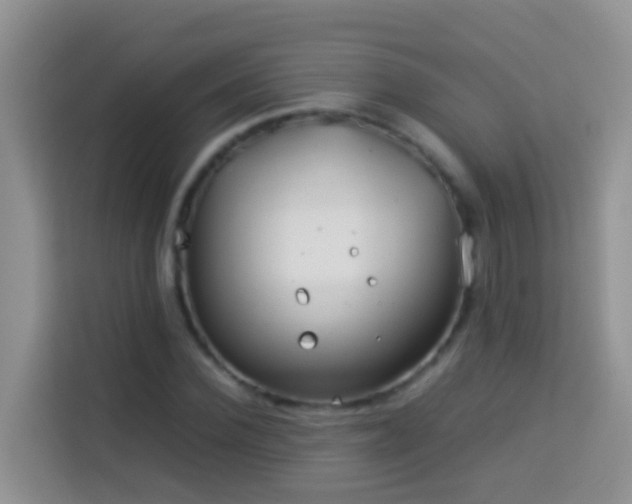 X0000114140924200910081302