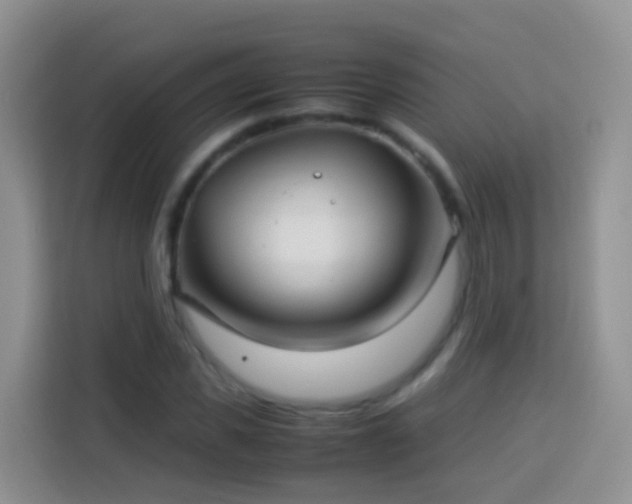 X0000114140925200910081302