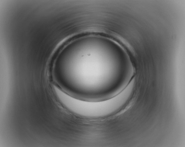 X0000114140926200910081302