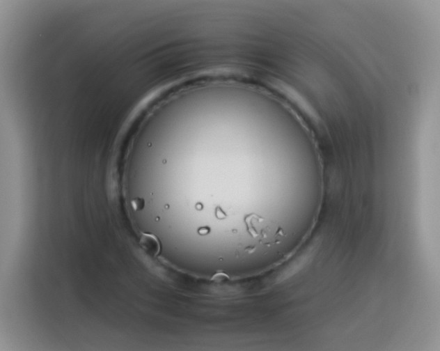 X0000114140927200910081302