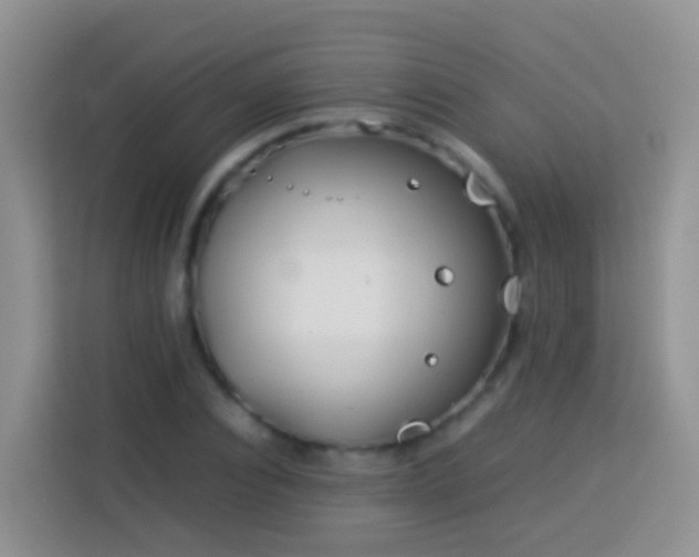 X0000114140928200910081302