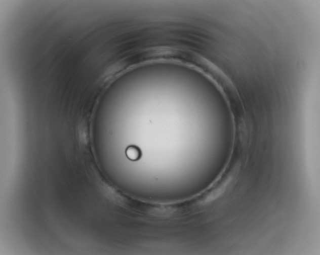 X0000114140929200910081302