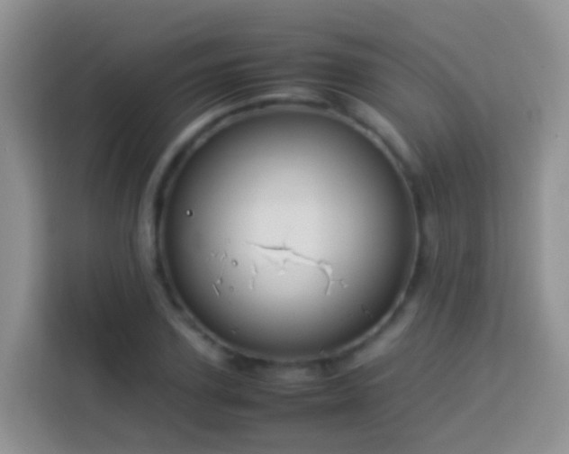 X0000114140931200910081302