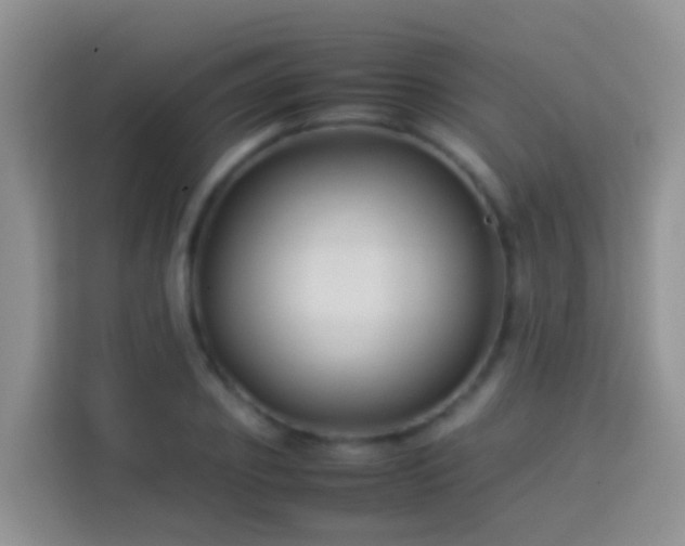 X0000114140933200910081302