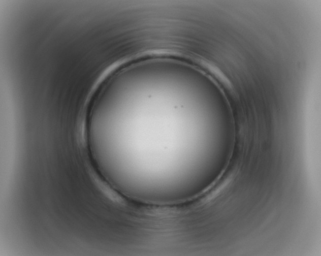 X0000114140934200910081302