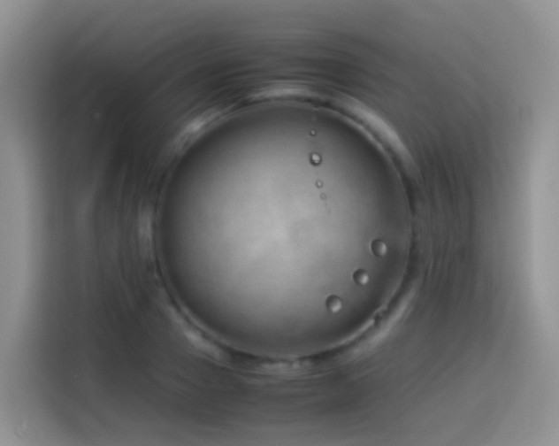 X0000114140937200910081302