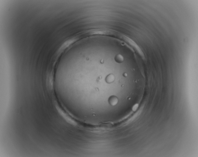 X0000114140938200910081302